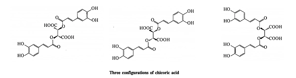 Echinacea Chicoric Acid.jpg